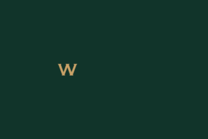 Westway clinic logo concept animation