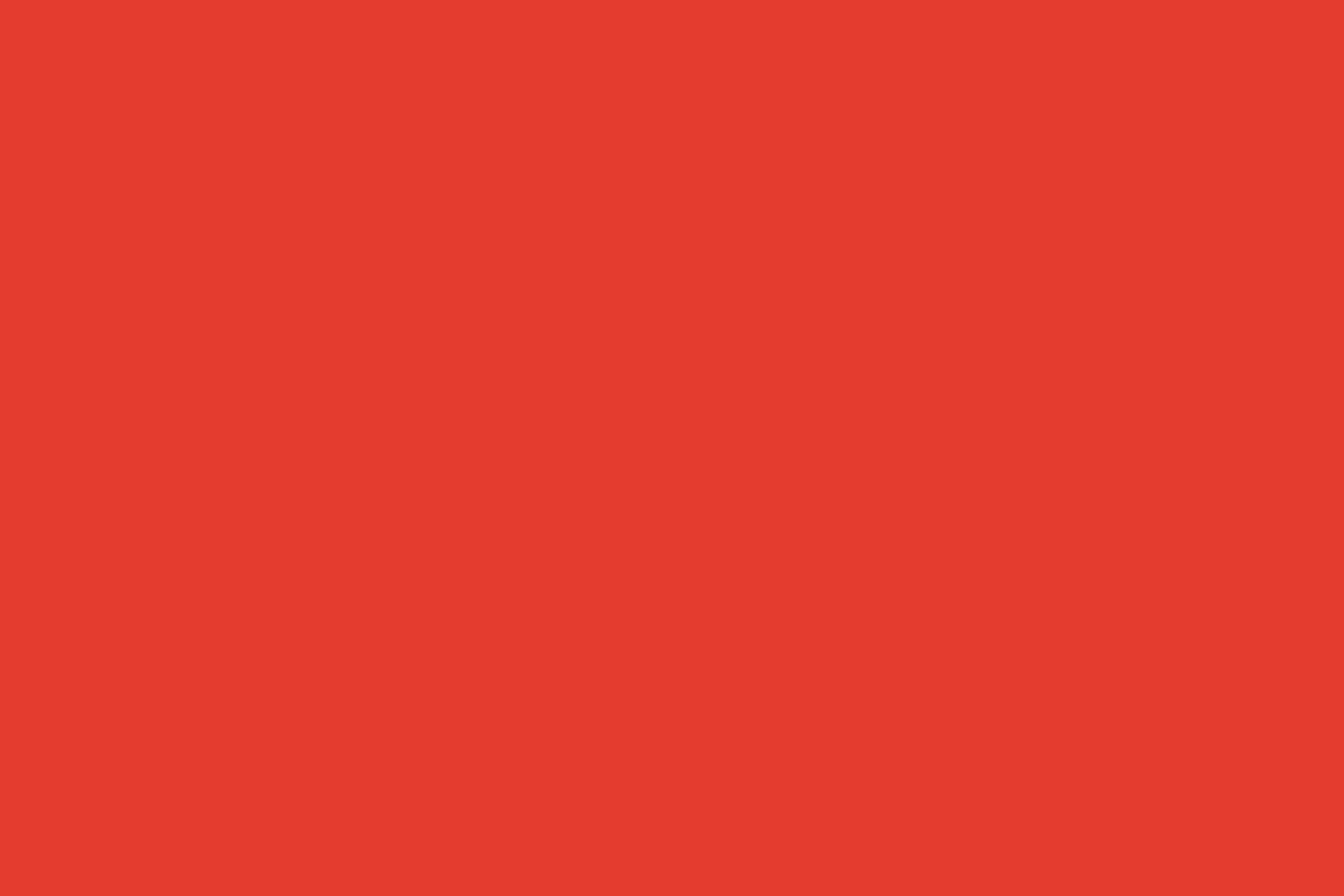 Motion Graphic Designer