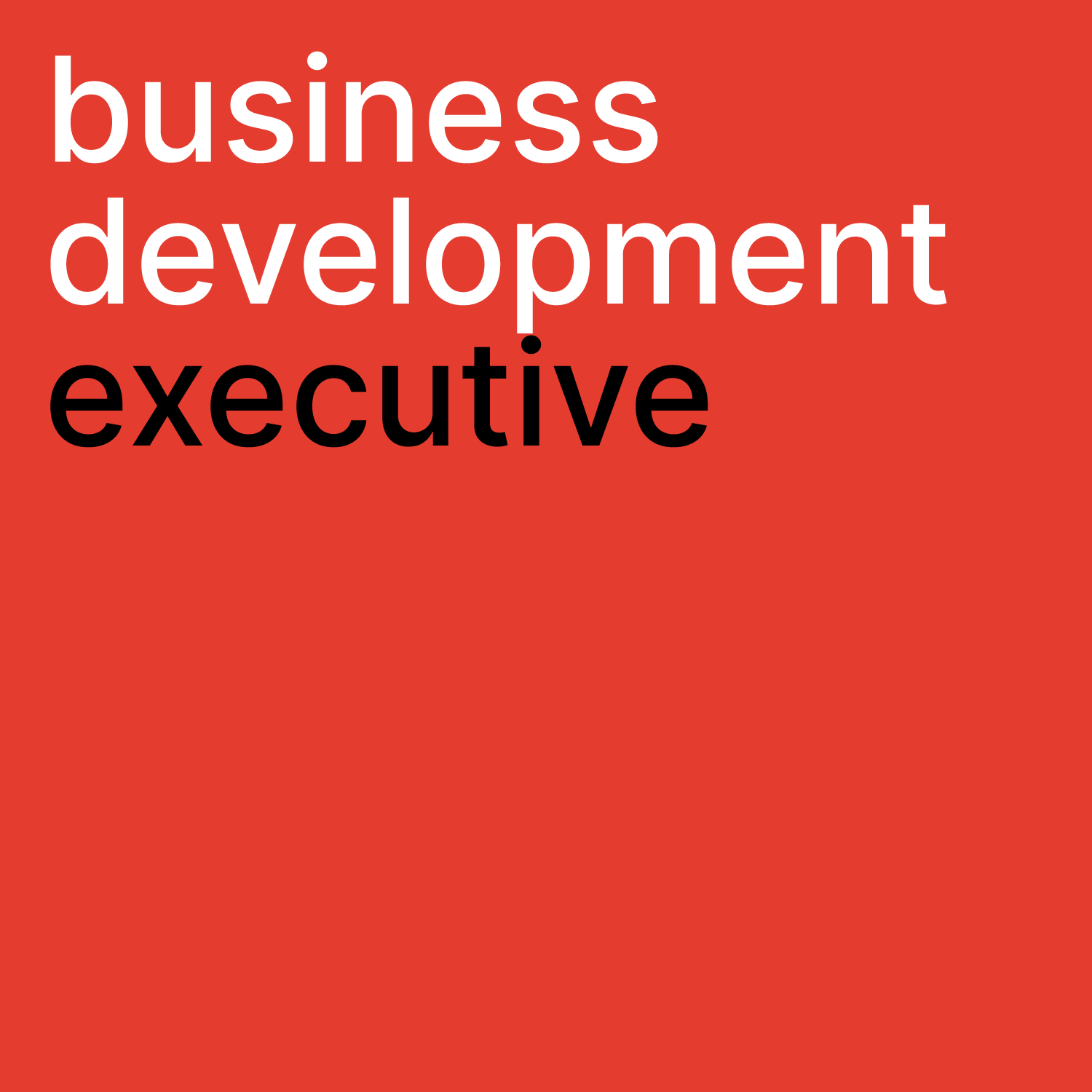 business development executive