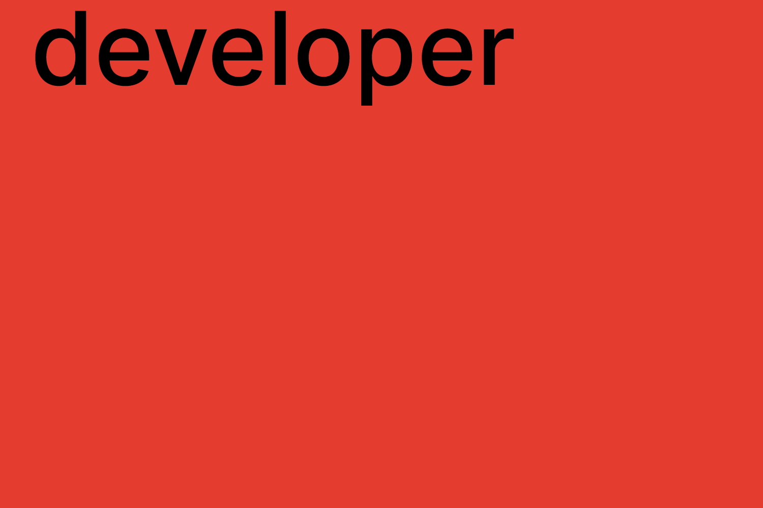 web developer