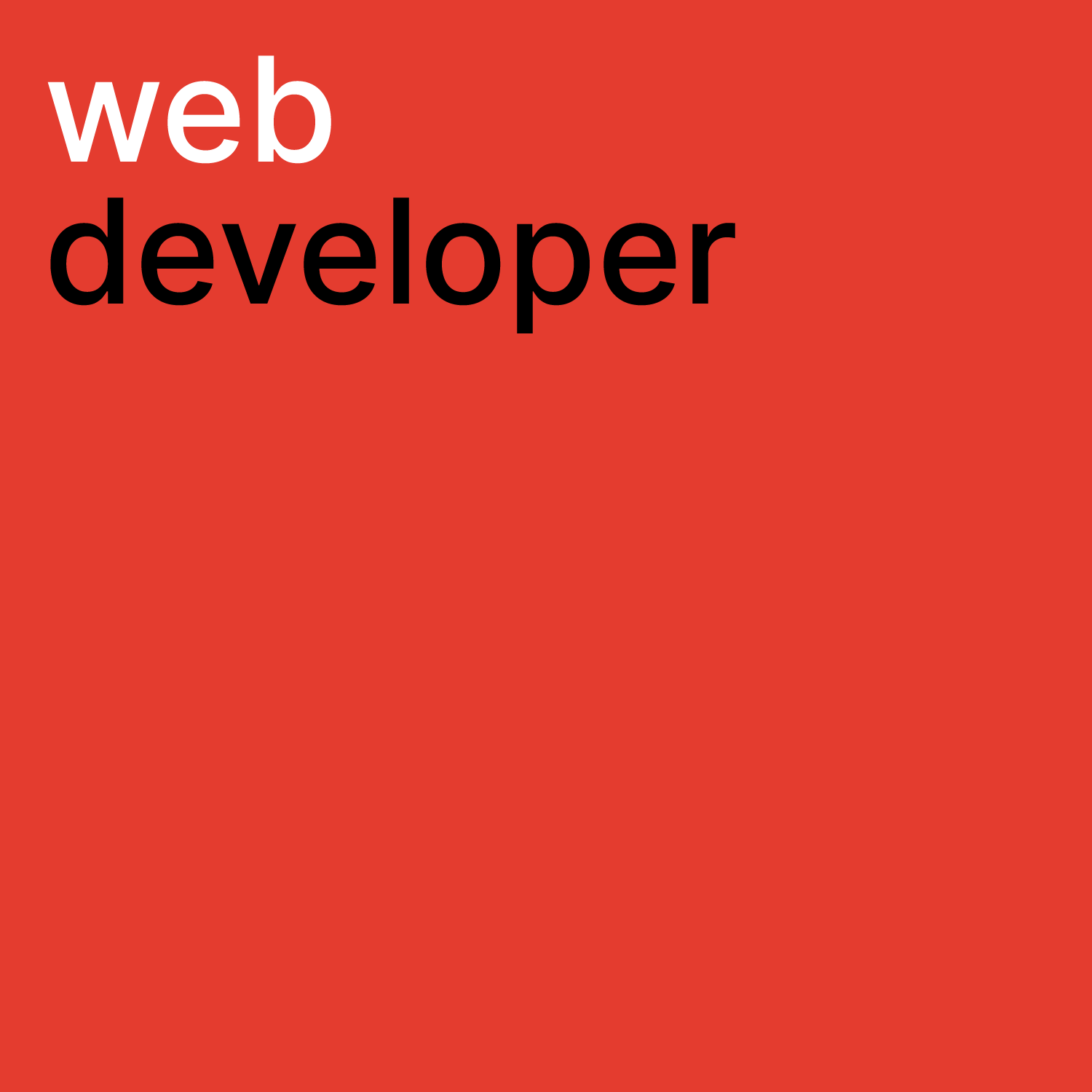 web developer