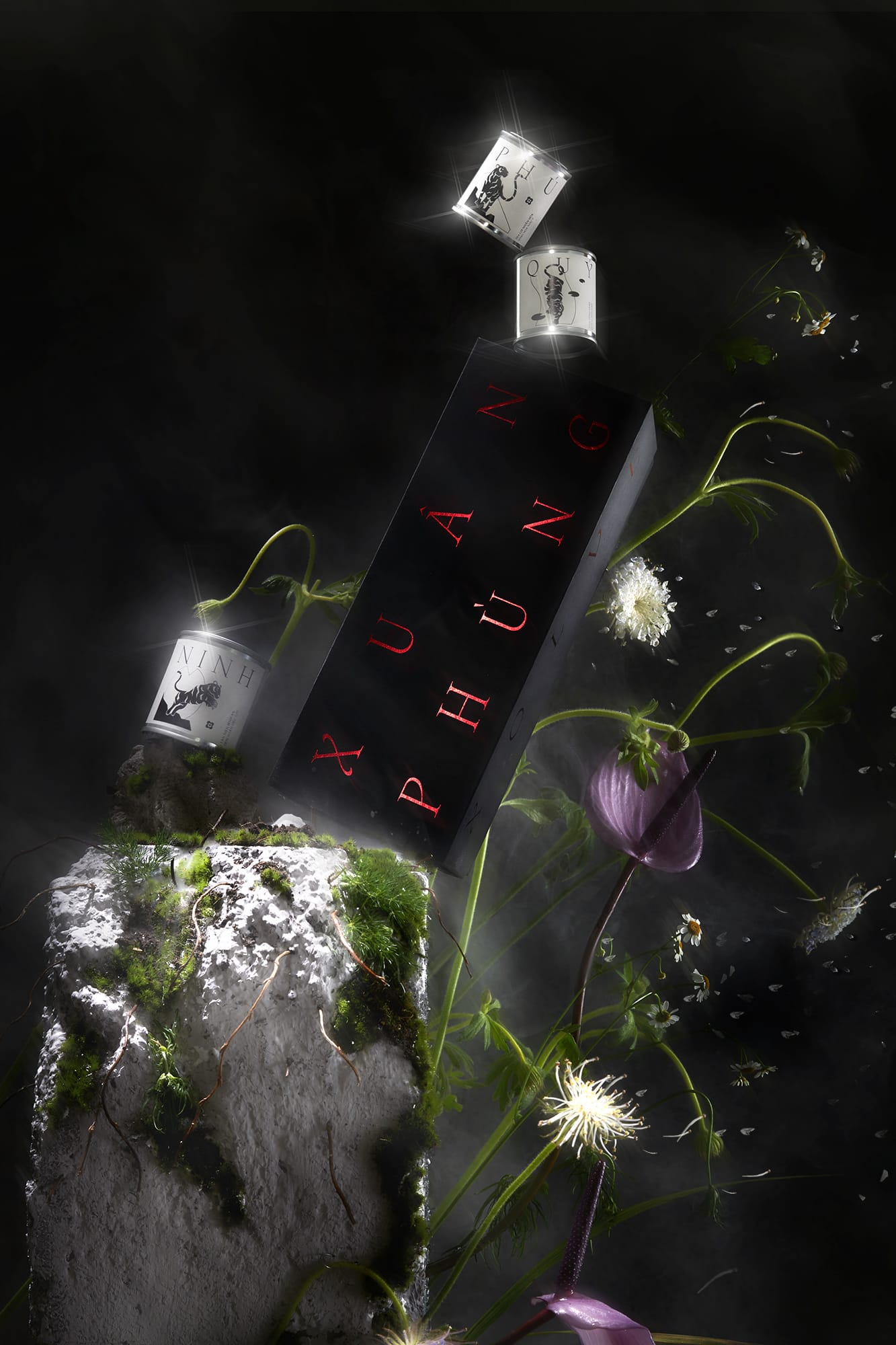 xuan.phung.layout.1