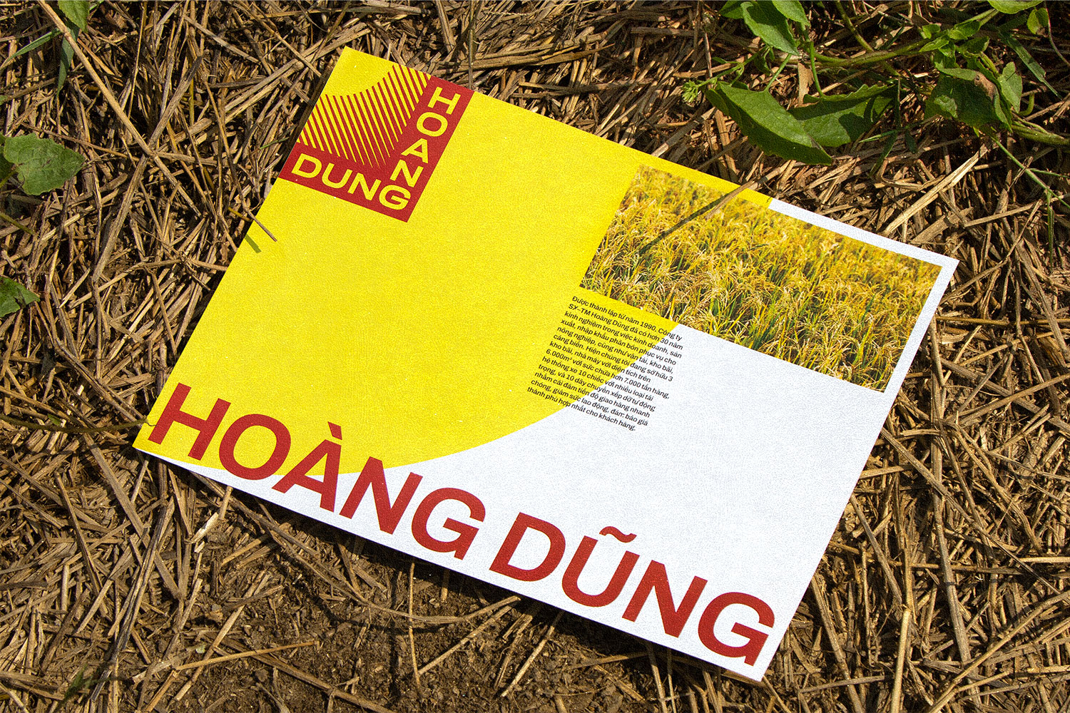 Hoang Dung brochure front view