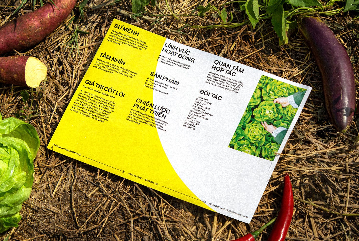 Hoang Dung | Brochure back