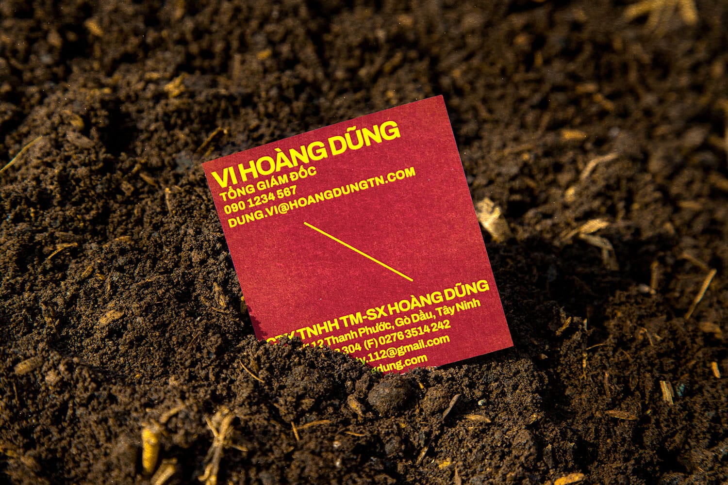 Hoang Dung | Business card