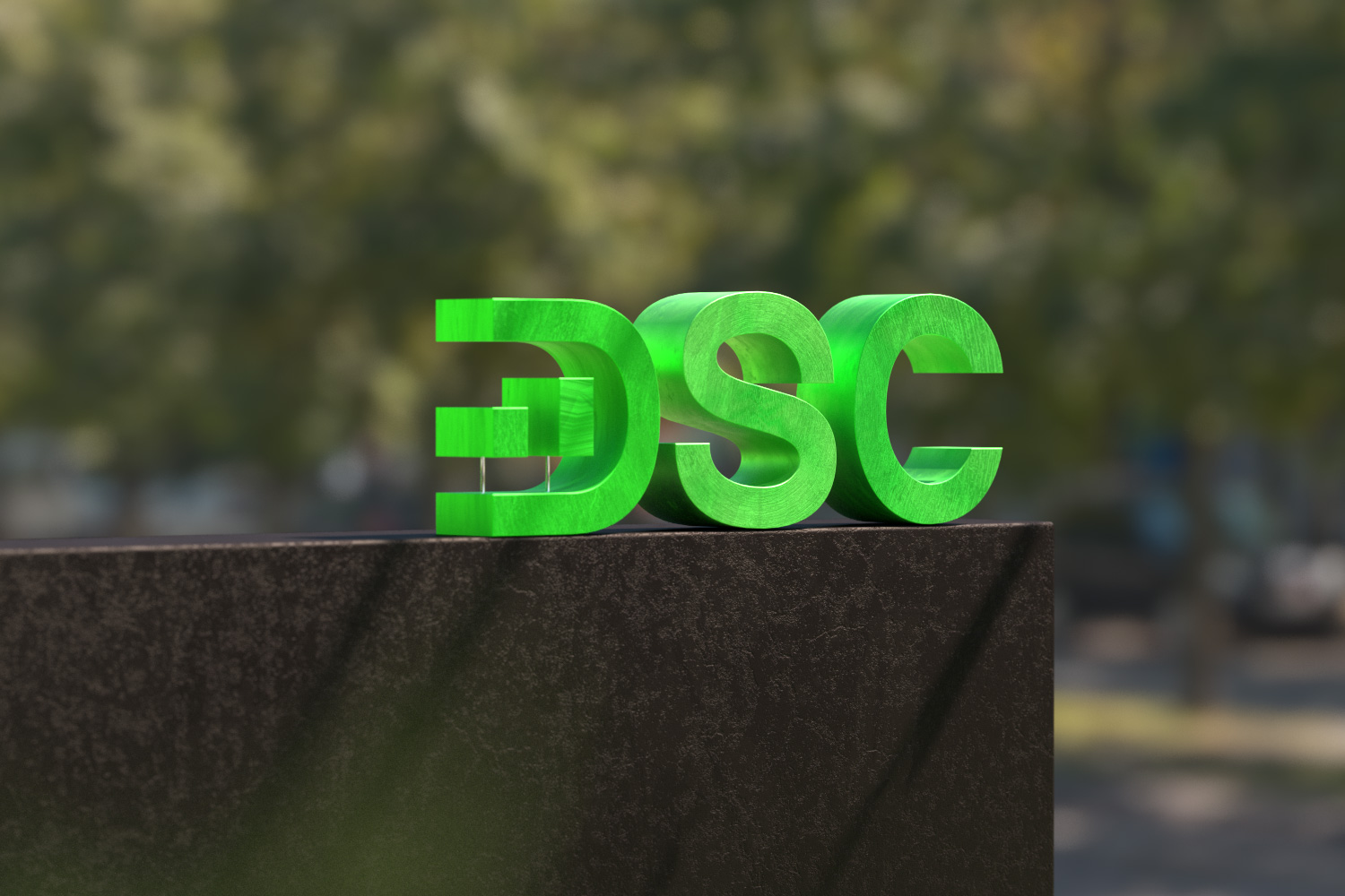 DSC 3D Signage