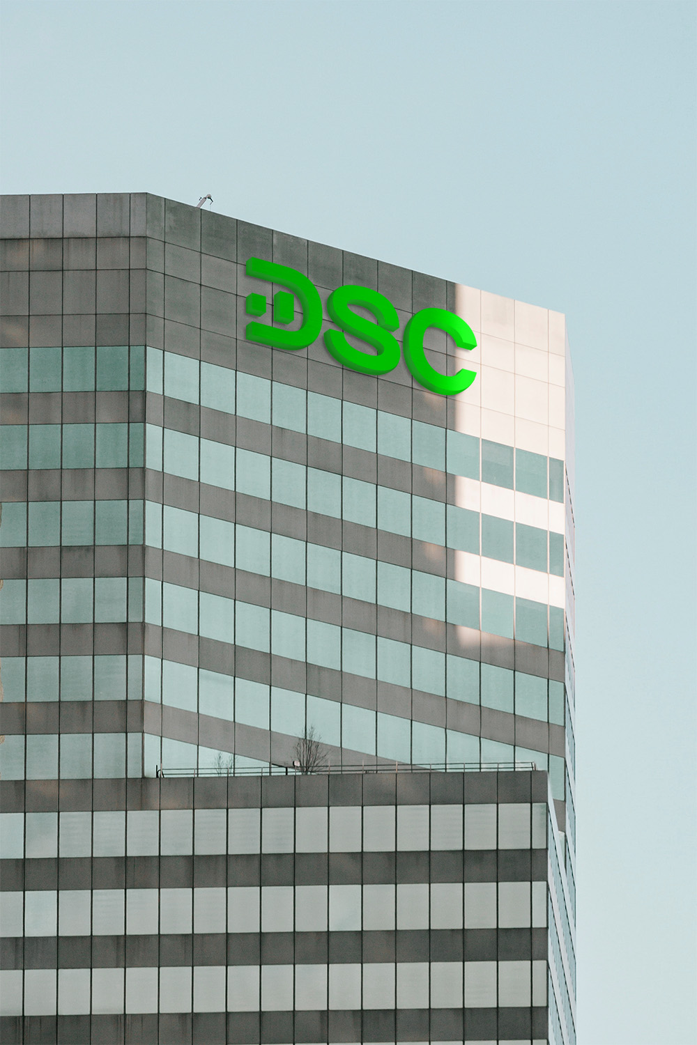 DSC Logo outdoor signage