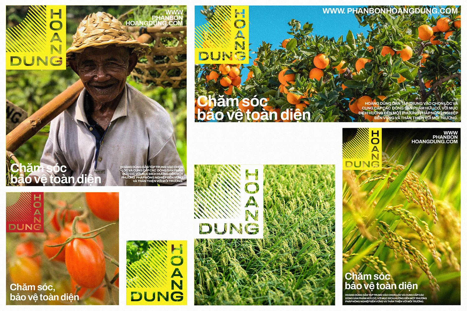 Hoang Dung | Poster layout