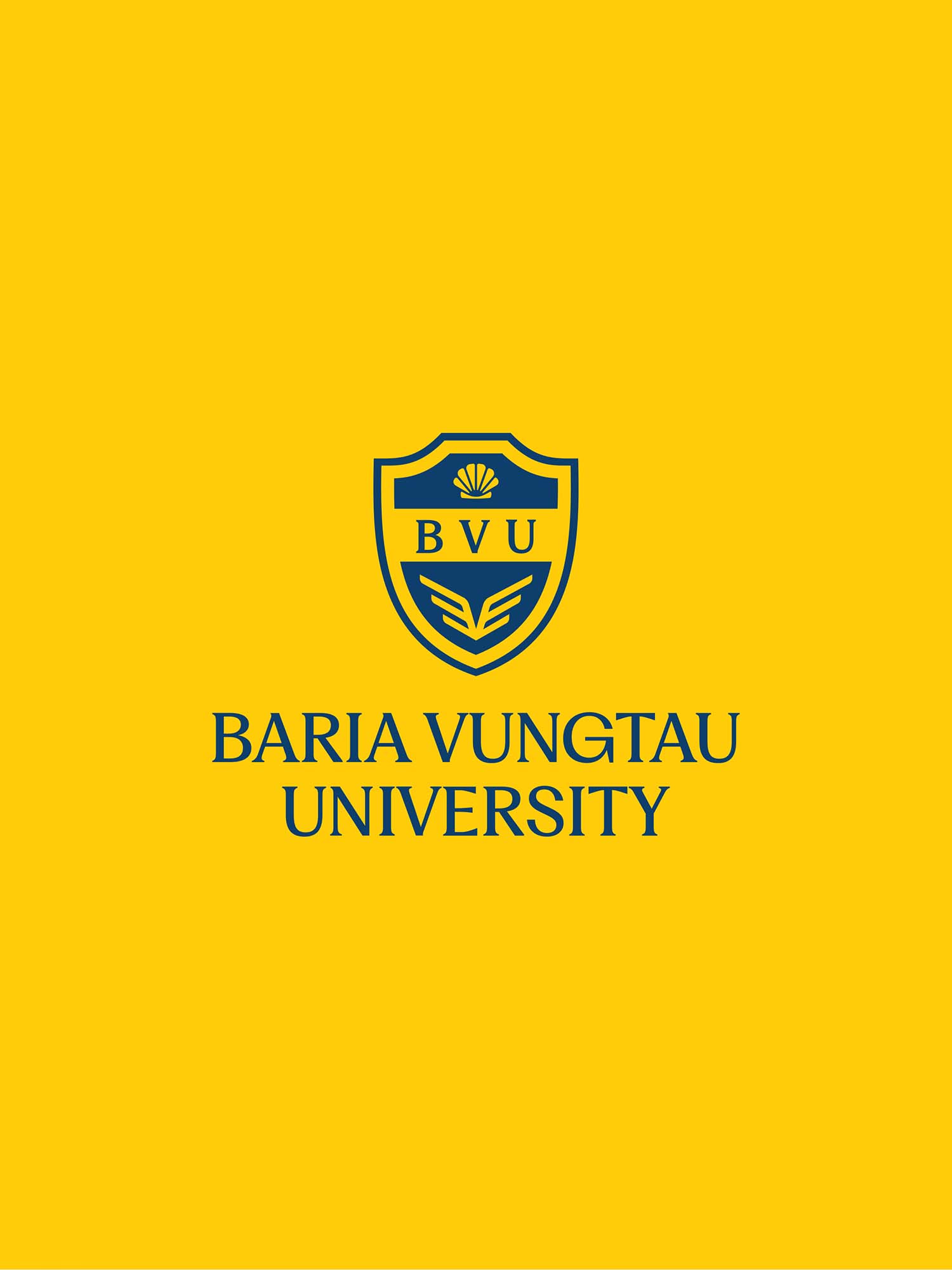 BVU-Website-4